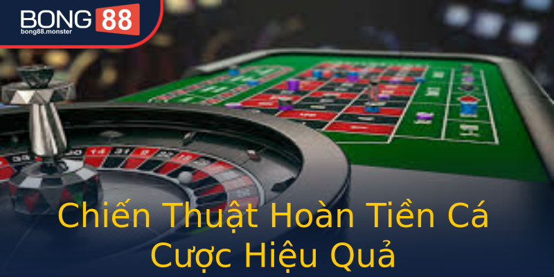 Chiến Thuật Hoàn Tiền Cá Cược Hiệu Quả Chiến Thuật Hoàn Tiền Cá Cược Hiệu Quả
