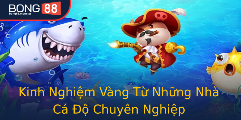 Kinh Nghiệm Vàng Từ Những Nhà Cá Độ Chuyên Nghiệp Kinh Nghiệm Vàng Từ Những Nhà Cá Độ Chuyên Nghiệp