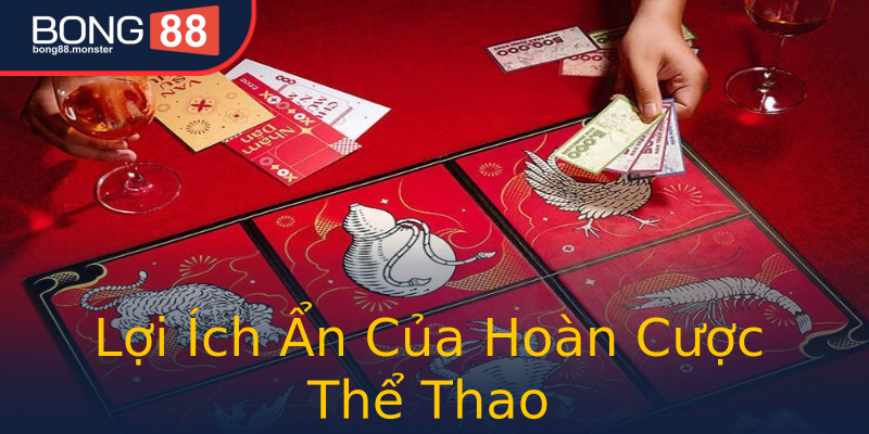 Lợi Ích Ẩn Của Hoàn Cược Thể Thao Lợi Ích Ẩn Của Hoàn Cược Thể Thao