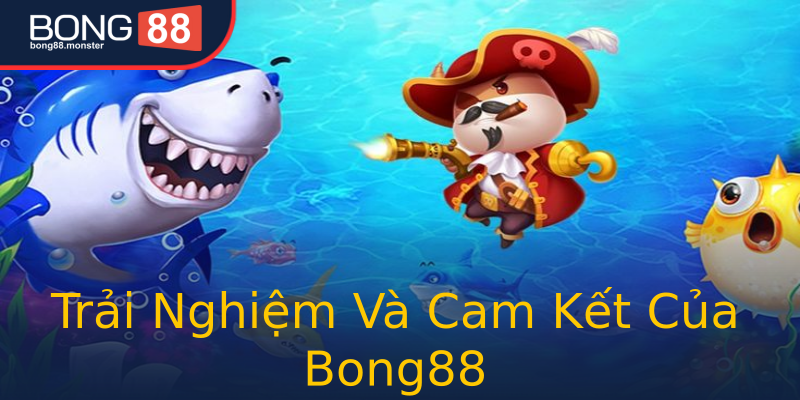 Trải Nghiệm Và Cam Kết Của Bong88 Trải Nghiệm Và Cam Kết Của Bong88